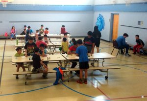 Each of them played 6 boards without seeing the boards. Here are Robins's opponents.